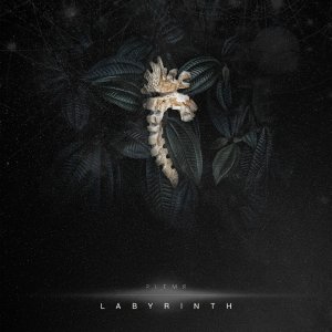 PLEMЯ - Labyrinth